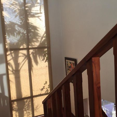 Casa Alice Marbella Lodge Екстер'єр фото