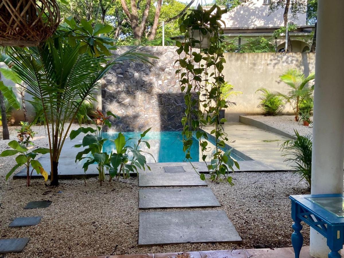 Casa Alice Marbella Lodge Екстер'єр фото