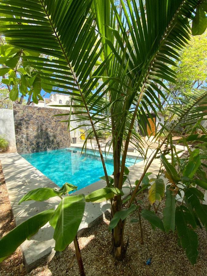 Casa Alice Marbella Lodge Екстер'єр фото