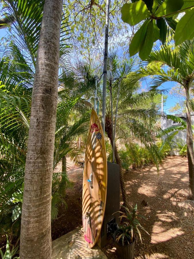 Casa Alice Marbella Lodge Екстер'єр фото