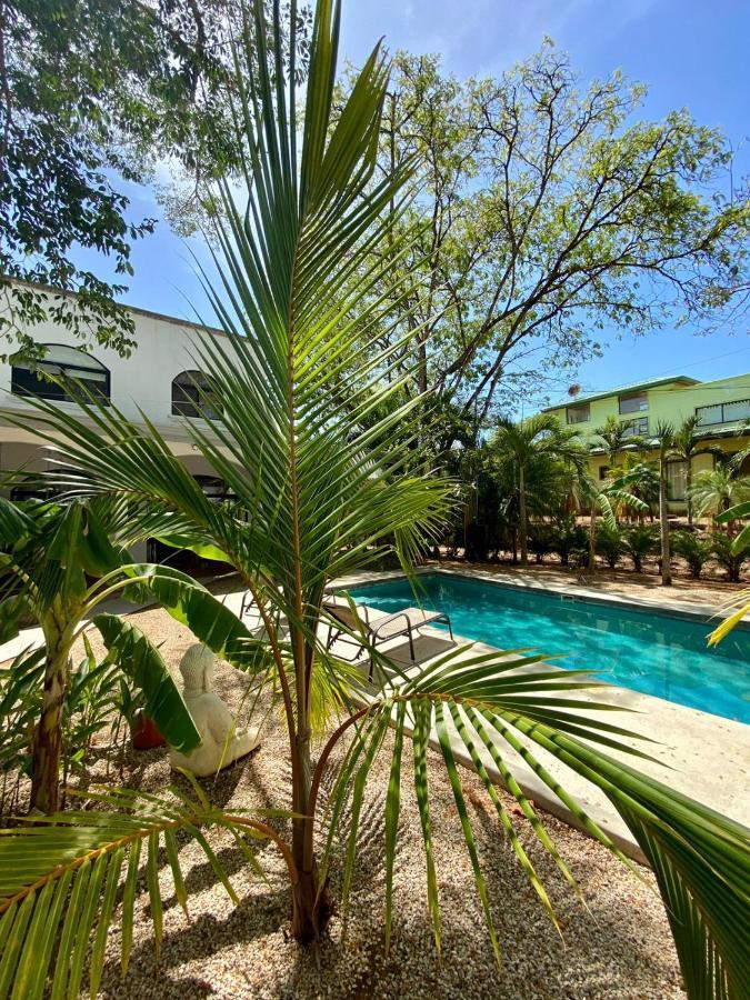 Casa Alice Marbella Lodge Екстер'єр фото