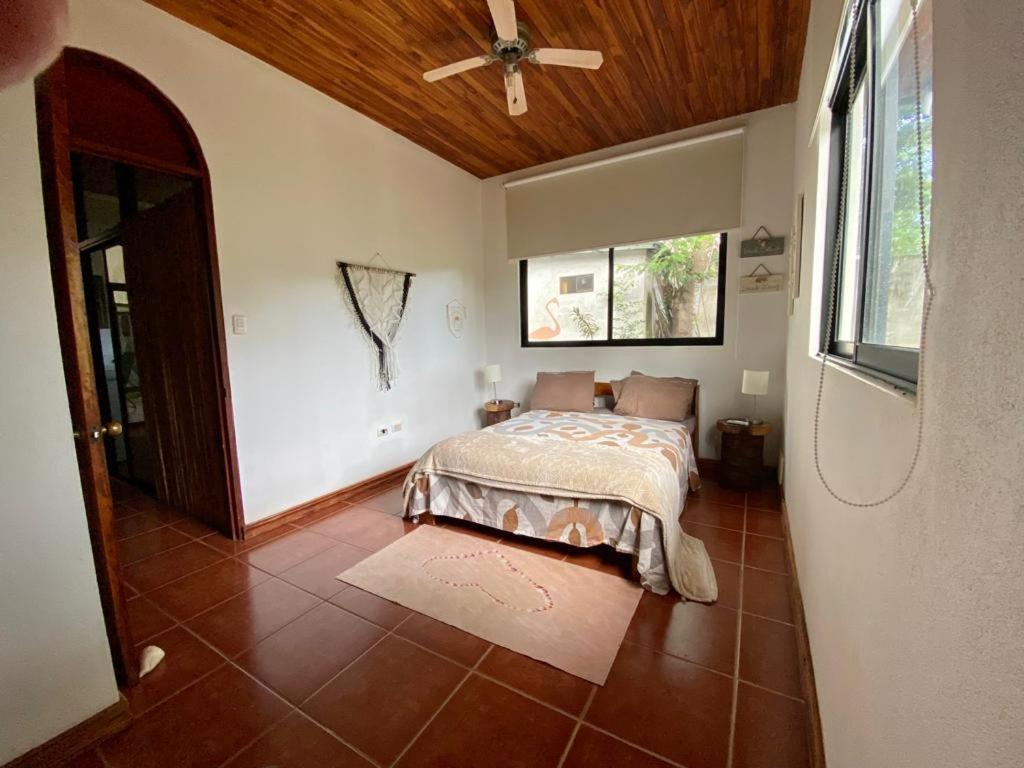 Casa Alice Marbella Lodge Екстер'єр фото