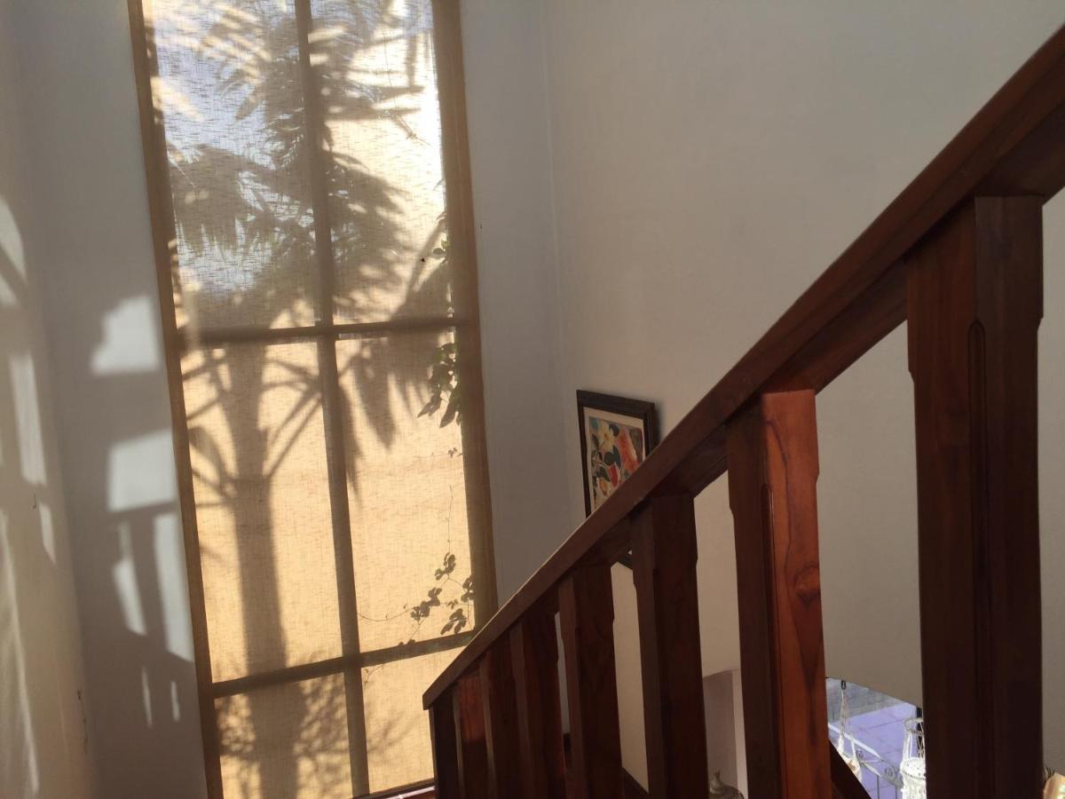 Casa Alice Marbella Lodge Екстер'єр фото